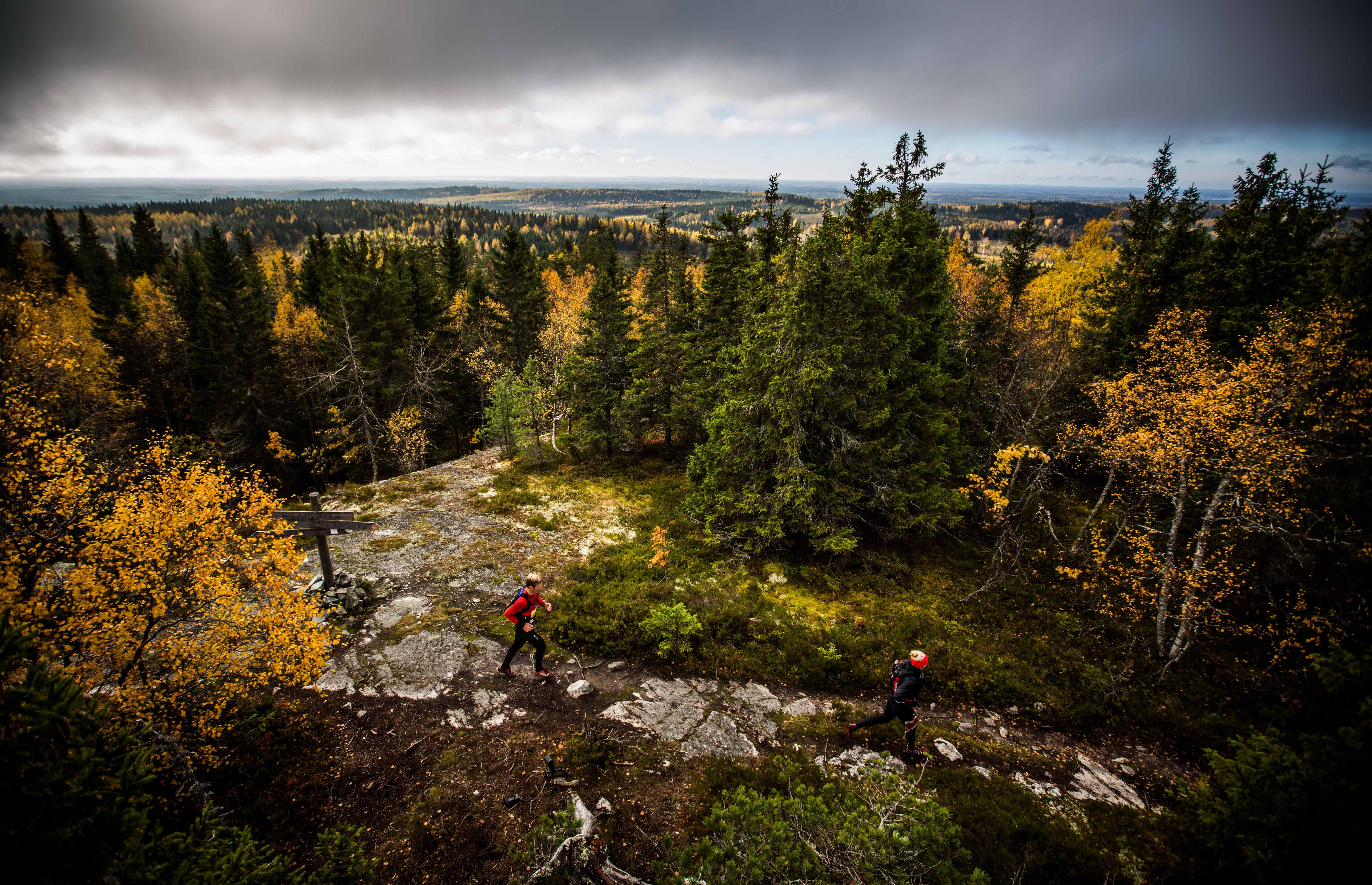 Esitellä 72+ imagen koli vaarojen maraton tulokset