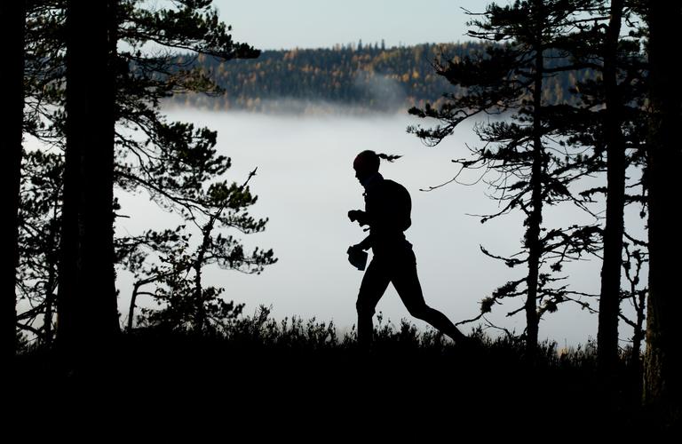 Vaarojen Maratonin juoksija siluettina metsäpolulla, taustalla Kolin kansallispuiston sumuiset maisemat.