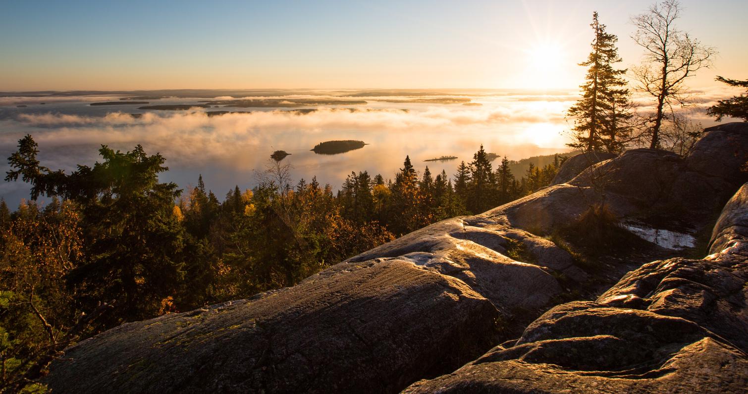 Kolin kansallispuiston auringonnousu kalliomaisemissa, aamu-usva leijuu järvien yllä ja luo rauhallisen tunnelman Vaarojen Maratonin tapahtuma-alueella.
