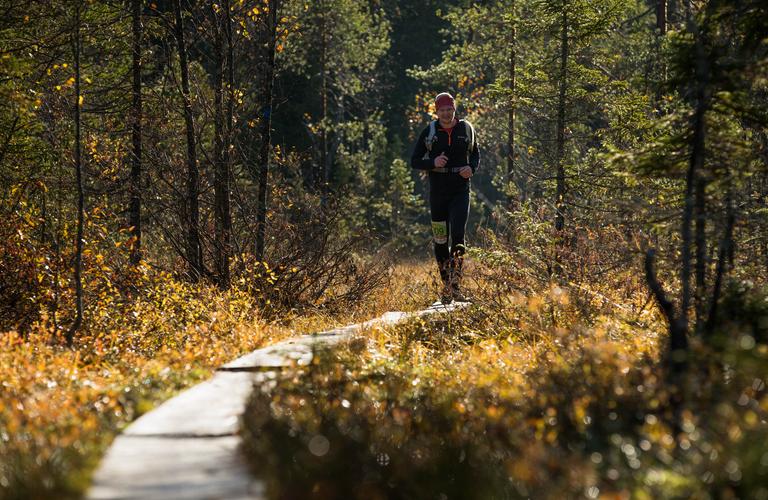 Vaarojen Maratonin juoksija etenee pitkospuureitill&auml; Kolin kansallispuiston syksyisess&auml; mets&auml;ss&auml;, auringonvalon heijastuessa kultaisiin lehtiin.