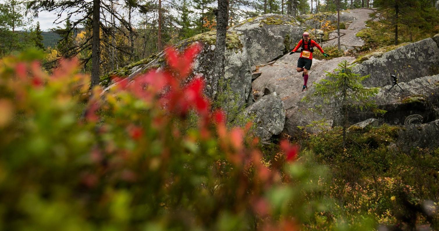 Vaarojen Maratonin juoksija etenee kivikkoisella polulla Kolin kansallispuiston syksyisessä maisemassa, punertavien lehtien ja kallioiden ympäröimänä.