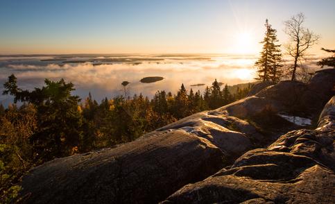 Kolin kansallispuiston henke&auml;salpaava syysmaisema, jossa mets&auml; ja j&auml;rvi yhdistyv&auml;t pehme&auml;&auml;n sumuun auringonpaisteessa.