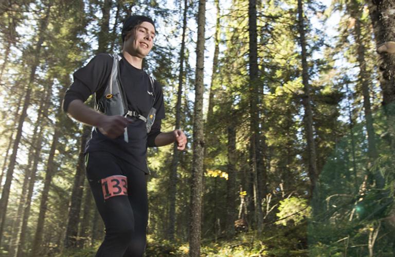 Vaarojen Maratonin juoksija etenee auringon säteiden läpi metsäpolulla Kolin kansallispuiston rauhallisessa ympäristössä.